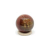 Versteend hout Bol