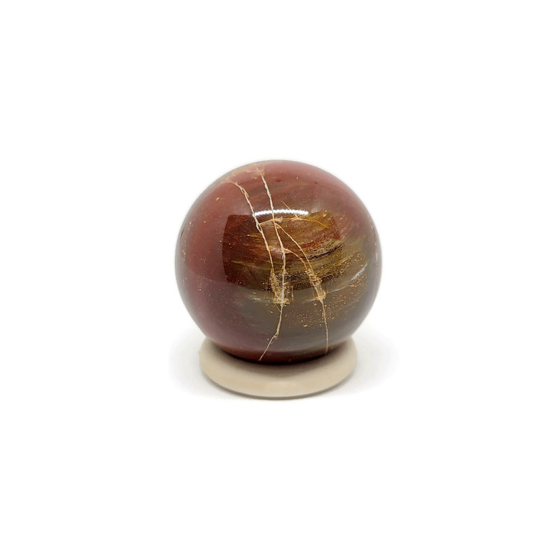 Versteend hout Bol
