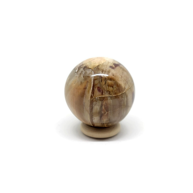 Versteend hout Bol